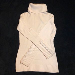 Banana Republic Turtleneck Sweater